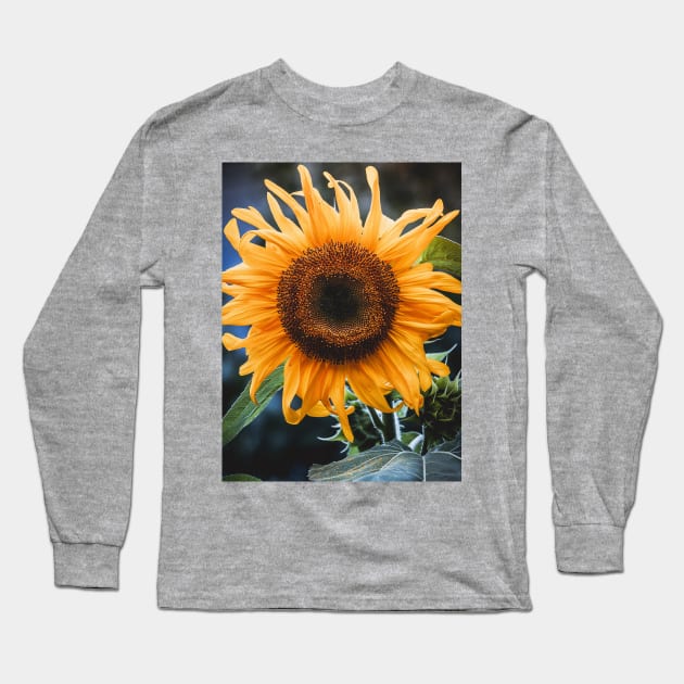 Sunday Sunflower Photograph Long Sleeve T-Shirt by love-fi